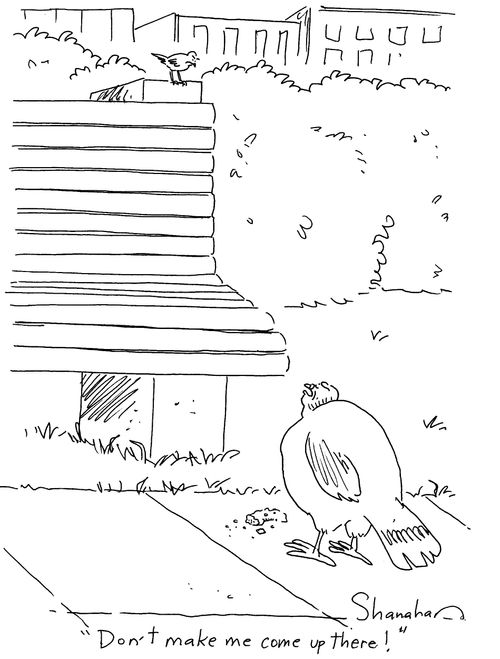 'Don't make me come up there!'