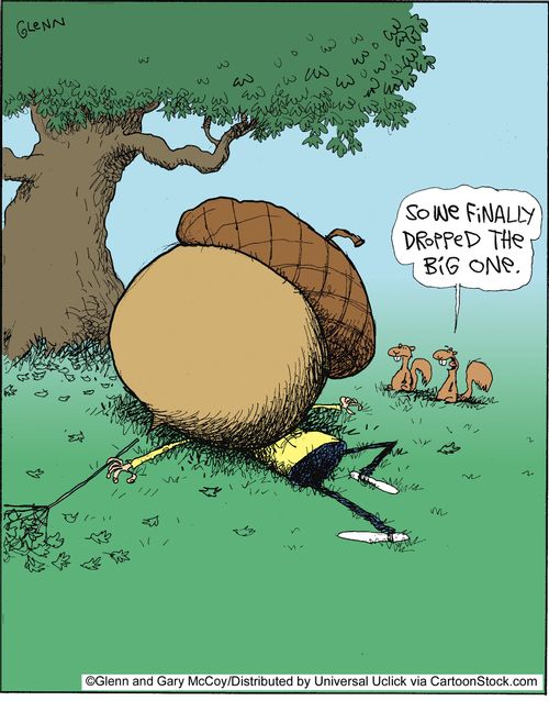 'So we finally dropped the big one.'