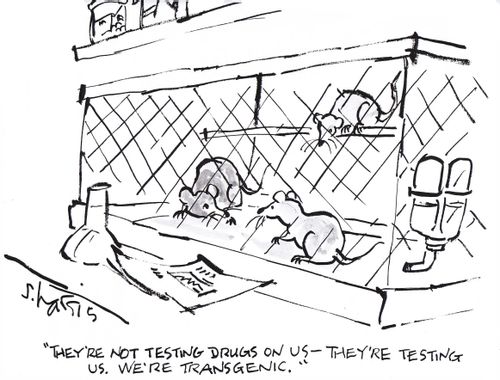 'They're not testing drugs on us - they're testing us.  We're transgenic.'