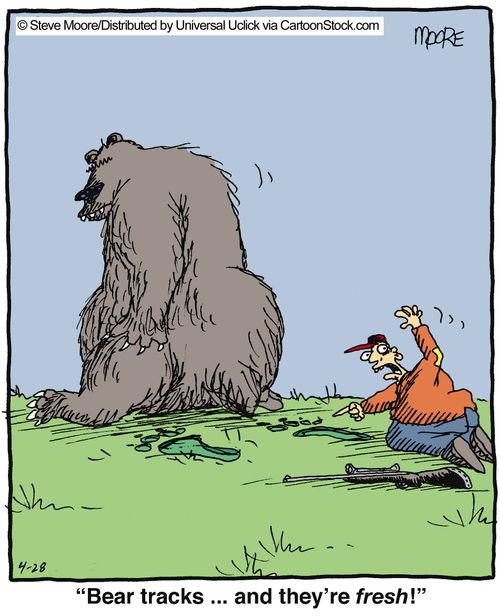 'Bear tracks... and they're fresh!'