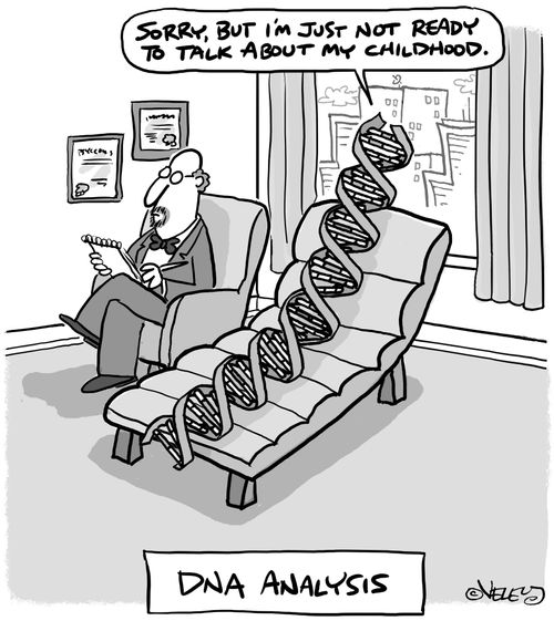 DNA Analysis