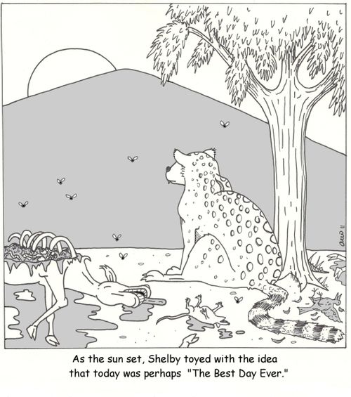 As the sun set, Shelby toyed with the idea that today was perhaps 'The Best Day Ever'.