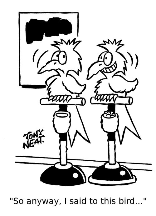 'So anyway, I said to this bird...'