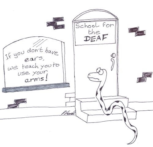 School For The Death: If you don't have ears, we teach you to use your arms!