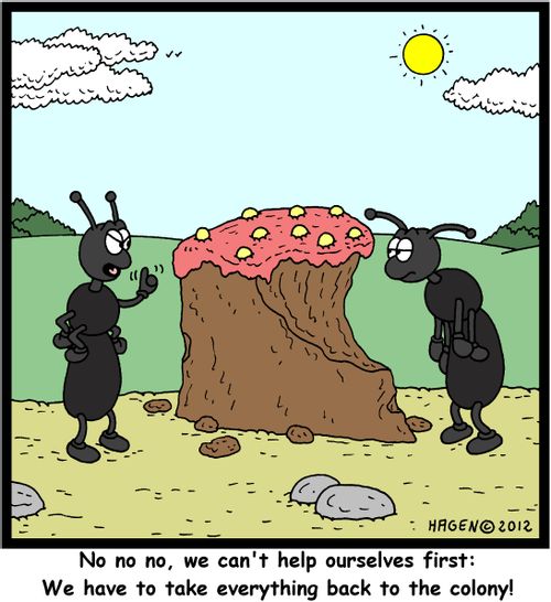 'No no no, we can't help ourselves first: We have to take everything back to the colony!'