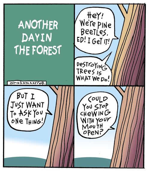 'Hey! We're pine beetles. Ed! I get it!. . . Could you stop chewing with your mouth open?'