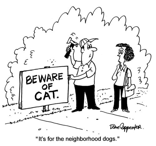 'It's for the neighborhood dogs.'