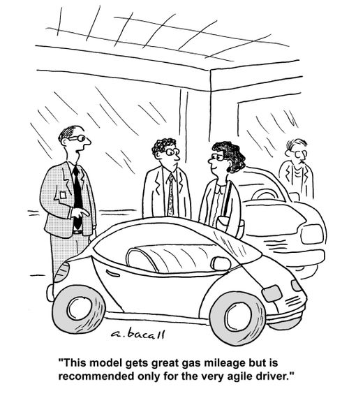 'This model gets great gas mileage but is recommended only for the very agile driver.'