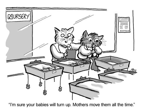 'I'm sure your babies will turn up. Mothers move them all the time.'