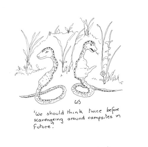 scavenging snakes.