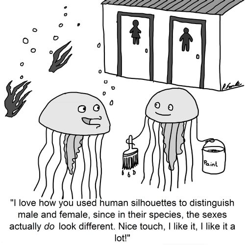 'I love how you used human silhouettes to distinguish male and female, since in their species, the sexes actually do look different. Nice touch, I like it, I like it a lot!'