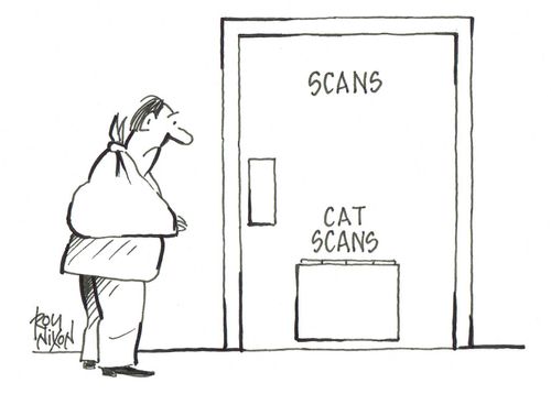 Cat scans flap on door.