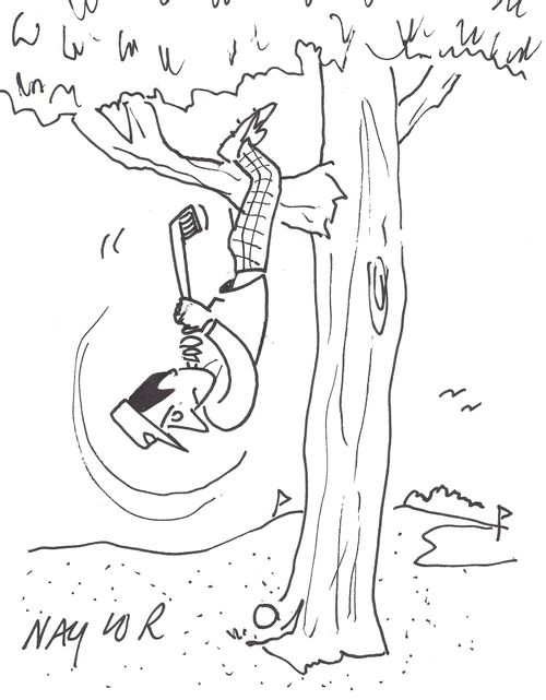 Golfer in a tree.