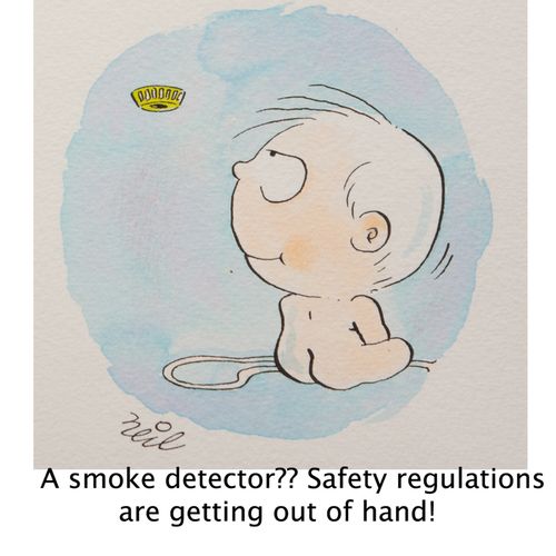'A smoke detector?? Safety regulations are getting out of hand!'