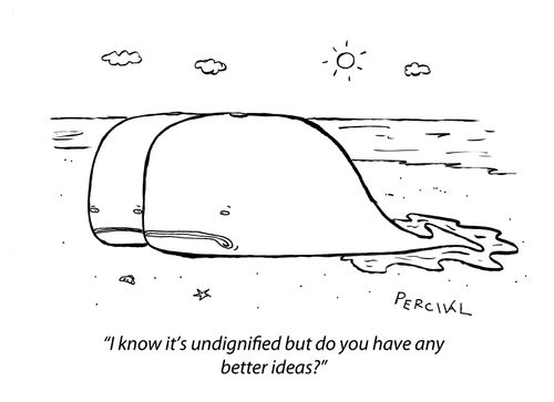'I know it's undignified but do you have any better ideas?'