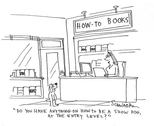 'Do you have anything on how to be a show dog, at the entry level?'