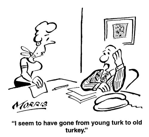 I seem to have gone from young turk to old turkey.