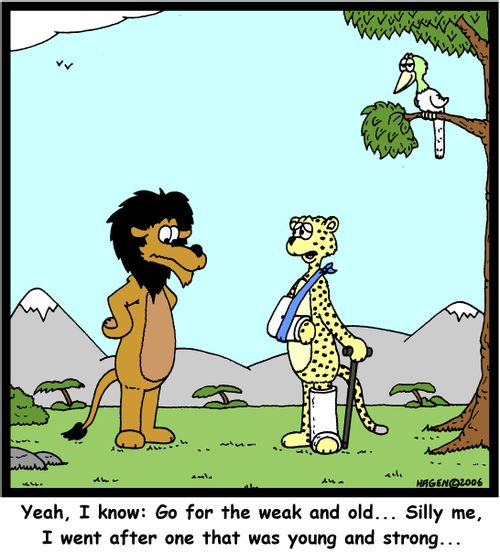 'Yeah, I know: Go for the weak and old... Silly me, I went after one that was young and strong...'