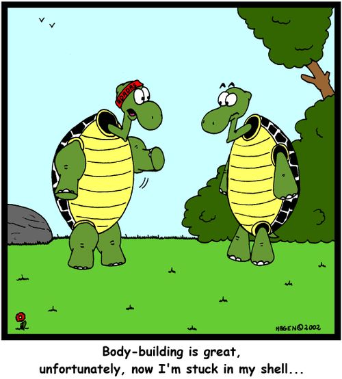 'Body-building is great, unfortunately, now I'm stuck in my shell...'