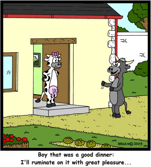 'Boy that was a good dinner: I'll ruminate on it with great pleasure...'