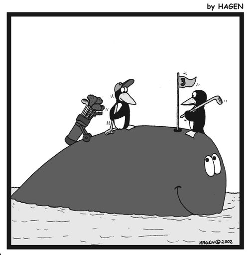 Penguins playing golf on a whale.