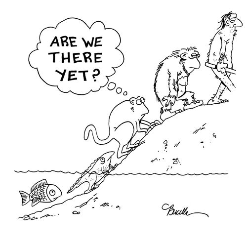 Are We There Yet?