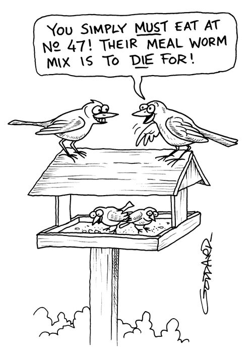 'You simply must eat at No 47! Their meal worm mix is to die for!'