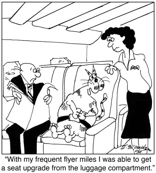'With my frequent flyer miles I was able to get a seat upgrade from the luggage compartment.'