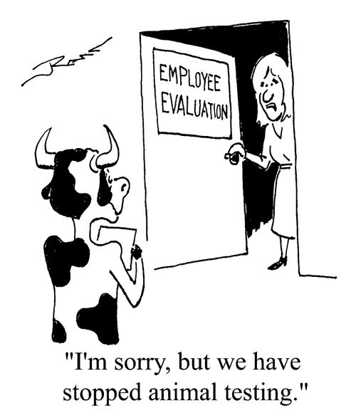 Employee Evaluation - I'm sorry, but we have stopped animal testing.