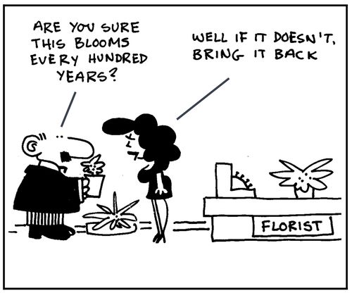 'Are you sure this blooms every hundred years? Well if it doesn't, bring it back.'