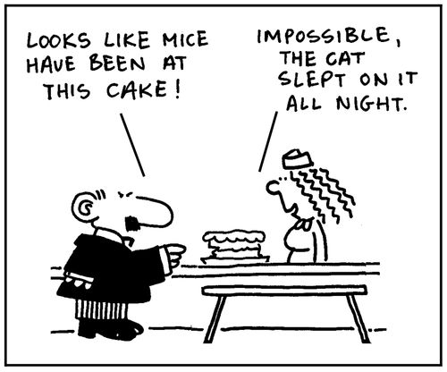 'Looks like mice wave been at this cake. Impossible, the cat slept on it all night.'
