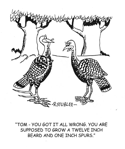 ' Tom-you got it all wrong.You are supposed to grow a twelve inch beard and one inch spurs.'