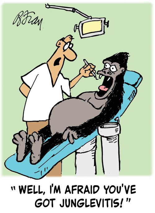 'Well, I'm afraid you've got junglevitis!'