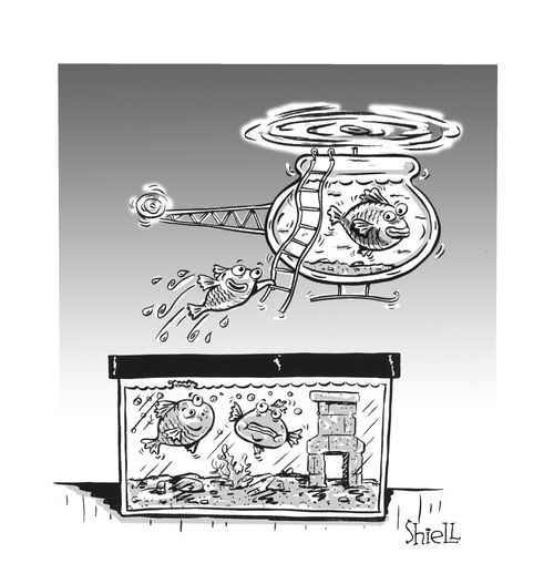 Fish Escape.