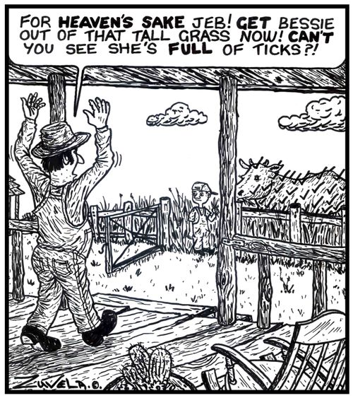 Farmer to son: 'For heaven's sake Jeb! Get Bessie out of that tall grass now! Can't you see she's full of ticks?!' 