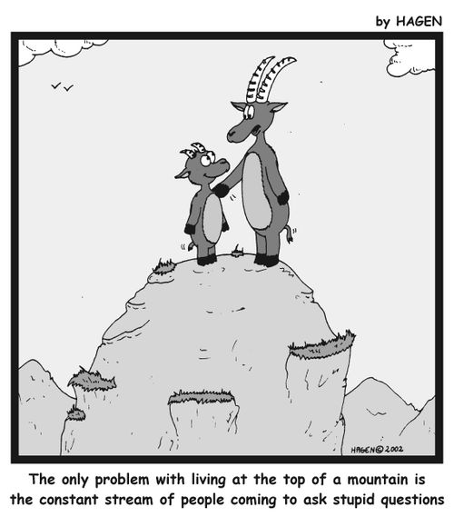 'The only problem with living at the top of a mountain is the constant stream of people coming to ask stupid questions.'