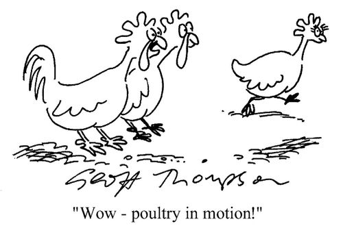'Wow - poultry in motion!'