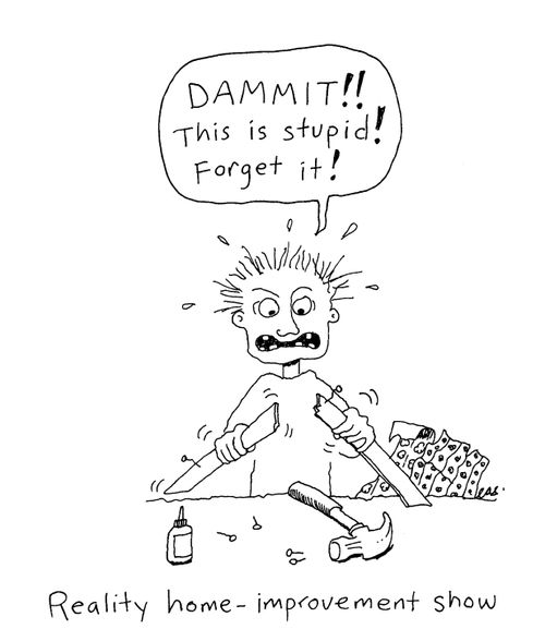 Reality home-improvement show.