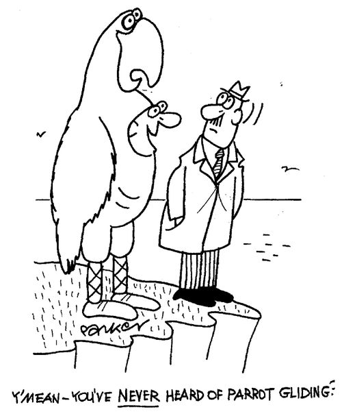"You mean, you've never heard of parrot gliding?"