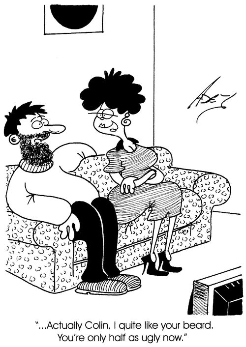 Brunette girlfriend  " I quite like your beard. You are only half as ugly now."