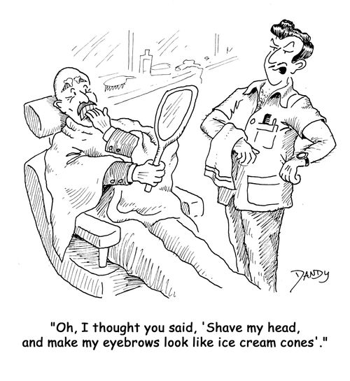 'Oh, I thought you said, 'Shave my head, and make my eyebrows look like ice cream cones'.'