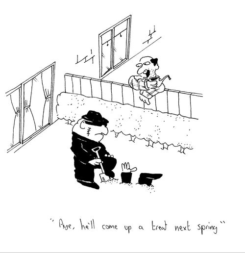 'Aye, he'll come up a treat next spring.'