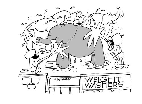 Weight washers.