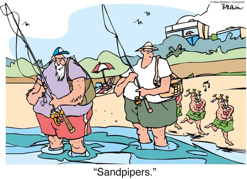 "Sandpipers."