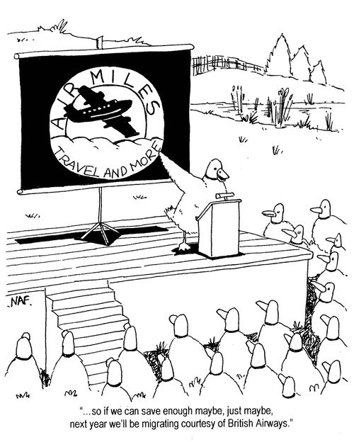 '...so if we can save enough maybe, just maybe, next year we'll be migrating courtesy of British Airways.'