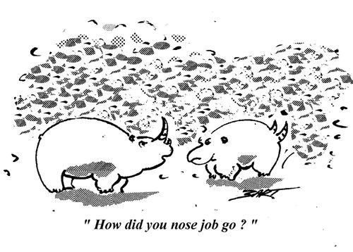 "How did your nose job go?"