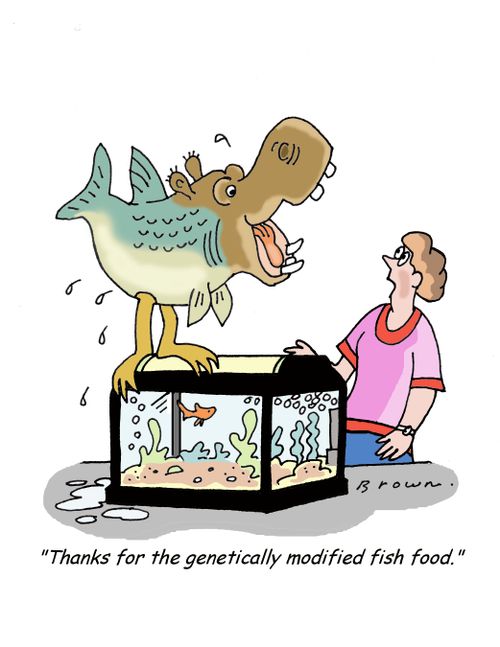 'Thanks for the genetically modified fish food.'