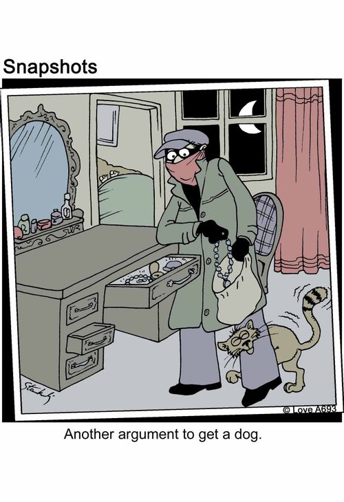 Another argument to get a dog.
