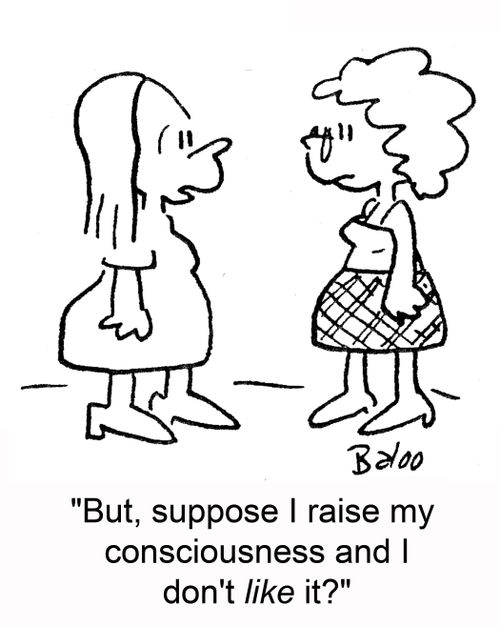 'But, suppose I raise my consciousness and I don't LIKE it?'