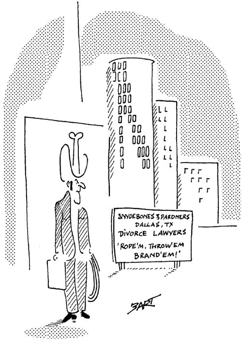 Divorce Lawyers.